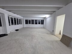 Theodor Pallady, 10 minute metrou 1 Decembrie 1918, stradal