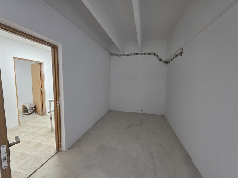 Theodor Pallady, 10 minute metrou 1 Decembrie 1918, stradal