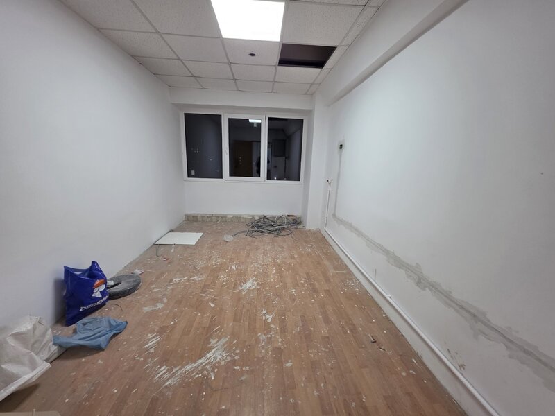 Theodor Pallady, 10 minute metrou 1 Decembrie 1918, stradal