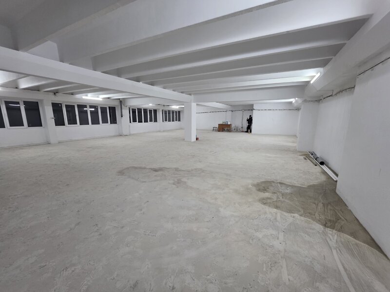 Theodor Pallady, 10 minute metrou 1 Decembrie 1918, stradal