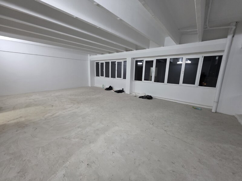 Theodor Pallady, 10 minute metrou 1 Decembrie 1918, stradal