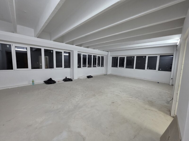 Theodor Pallady, 10 minute metrou 1 Decembrie 1918, stradal