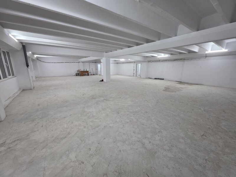 Theodor Pallady, 10 minute metrou 1 Decembrie 1918, stradal