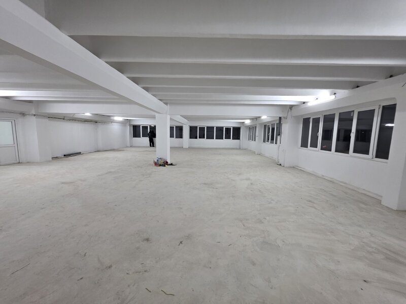 Theodor Pallady, 10 minute metrou 1 Decembrie 1918, stradal